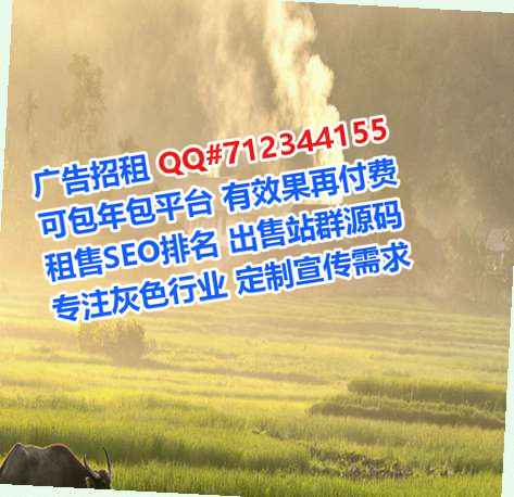 郸城代生文化传播有限公司